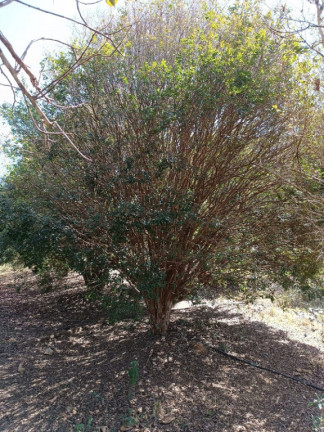 Imagem Imóvel à Venda,  em São José Dos Campos