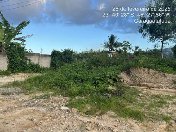 Terreno à Venda, 353 m² em Balneario Dos Golfinhos - Caraguatatuba