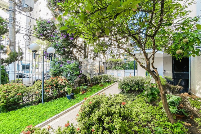 Imagem Apartamento com 3 Quartos à Venda, 260 m² em Santa Cecília - São Paulo Imagem Apartamento com 3 Quartos à Venda, 260 m² em Santa Cecília - São Paulo