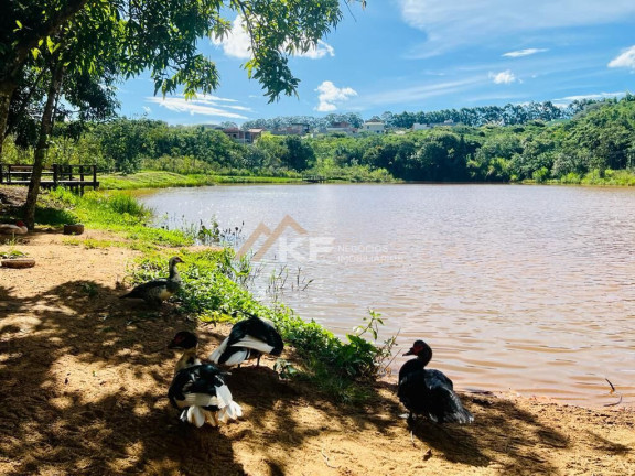 Imagem Terreno à Venda, 275 m² em Jardim Das Acácias - Cravinhos