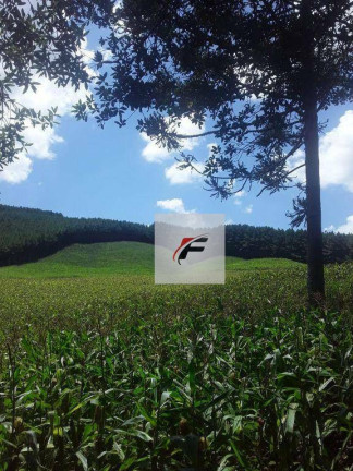 Imagem Imóvel à Venda, 117.000 m² em água Amarela - Antônio Olinto Imagem Imóvel à Venda, 117.000 m² em água Amarela - Antônio Olinto