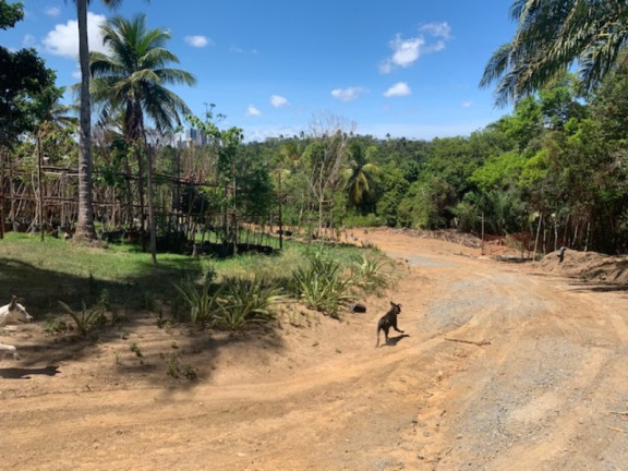 Imagem Terreno à Venda, 15.903 m² em Paralela - Salvador Imagem Terreno à Venda, 15.903 m² em Paralela - Salvador