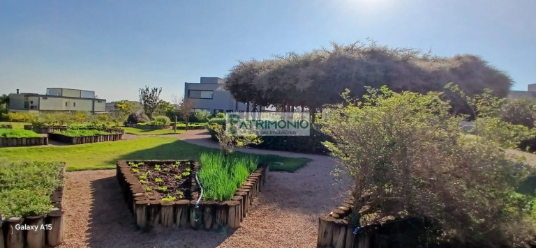 Imagem Terreno à Venda, 615 m² em Tamboré Jaguariúna - Jaguariúna Imagem Terreno à Venda, 615 m² em Tamboré Jaguariúna - Jaguariúna