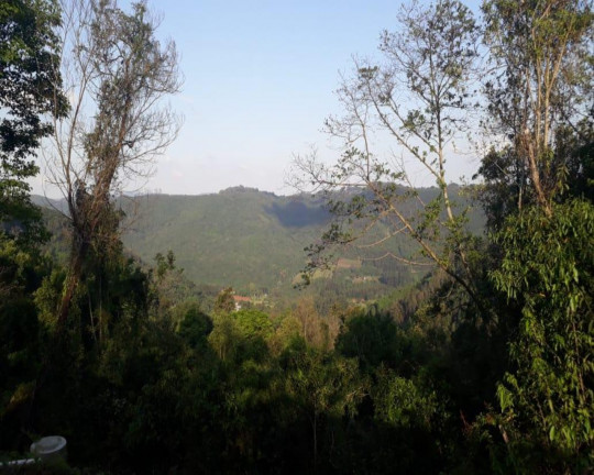 Imagem Imóvel à Venda, em Linha Olinda - Nova Petrópolis Imagem Imóvel à Venda, em Linha Olinda - Nova Petrópolis