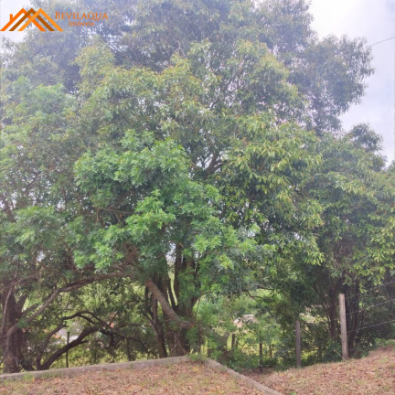 Imagem Terreno à Venda, 1.460 m² em Cangueri De Fora - Imaruí Imagem Terreno à Venda, 1.460 m² em Cangueri De Fora - Imaruí