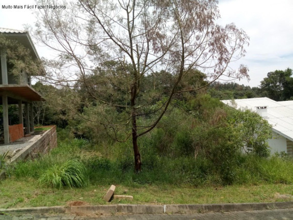Terreno à Venda, 465 m² em Pousada Da Neve - Nova Petrópolis