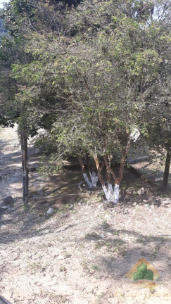 Imagem Chácara com 4 Quartos à Venda, 550 m² em Horto Florestal - Ubatuba Imagem Chácara com 4 Quartos à Venda, 550 m² em Horto Florestal - Ubatuba