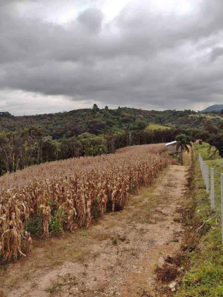 Imagem Imóvel à Venda, 33.000 m² em Itaqui De Cima - Campo Largo Imagem Imóvel à Venda, 33.000 m² em Itaqui De Cima - Campo Largo