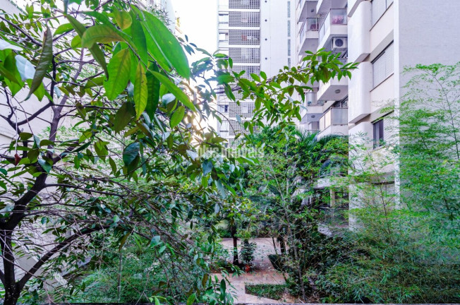 Imagem Apartamento com 4 Quartos à Venda, 323 m² em Jardim Paulista - São Paulo Imagem Apartamento com 4 Quartos à Venda, 323 m² em Jardim Paulista - São Paulo