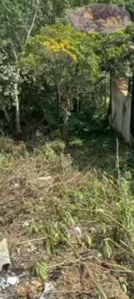 Imagem Terreno à Venda, 125 m² em Pilar Velho - Ribeirão Pires