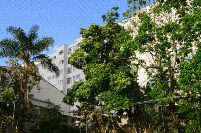 Imagem Imóvel com 4 Quartos à Venda, 91 m² em Vila Mariana - São Paulo