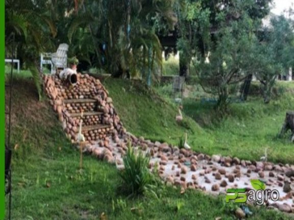 Imagem Imóvel com 5 Quartos à Venda, 1 m² em Zona Rural - Pedras De Fogo