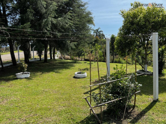 Imagem Chácara à Venda, 6.300 m² em Zona Rural - Tijucas Do Sul Imagem Chácara à Venda, 6.300 m² em Zona Rural - Tijucas Do Sul