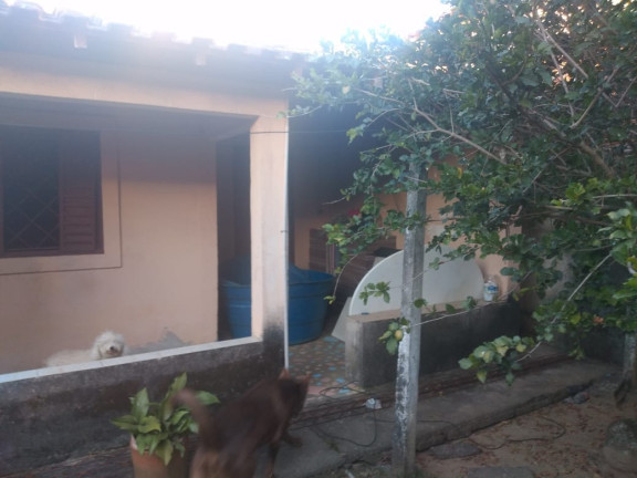Imagem Casa com 3 Quartos à Venda, 110 m² em Feital - Pindamonhangaba