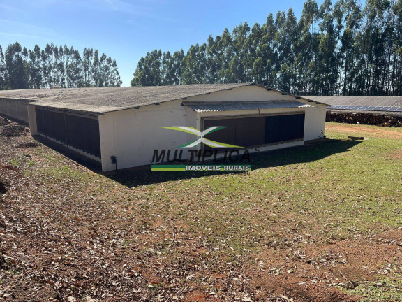 Imagem Fazenda à Venda, 38 m² em Uberaba Imagem Fazenda à Venda, 38 m² em Uberaba