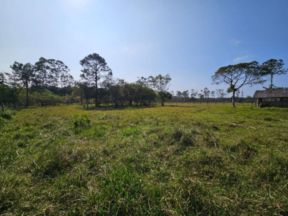 Imagem Casa com 4 Quartos à Venda, 320 m² em Pinheiros - Balneário Barra Do Sul