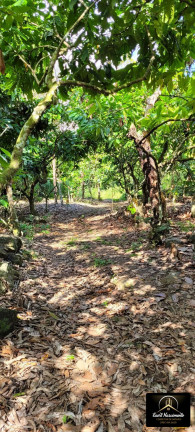 Imagem Fazenda à Venda, 8 m² em Zona Rural - Ubaitaba Imagem Fazenda à Venda, 8 m² em Zona Rural - Ubaitaba