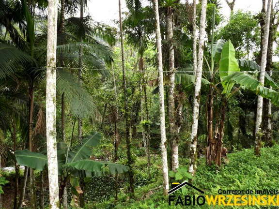 Imagem Chácara com 3 Quartos à Venda, 120 m² em Dona Francisca (piraberaba) - Joinville