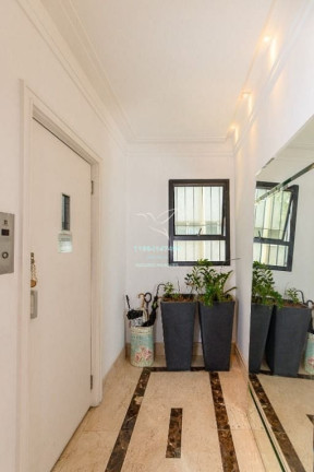 Imagem Apartamento com 3 Quartos à Venda, 235 m² em Higienópolis - São Paulo Imagem Apartamento com 3 Quartos à Venda, 235 m² em Higienópolis - São Paulo