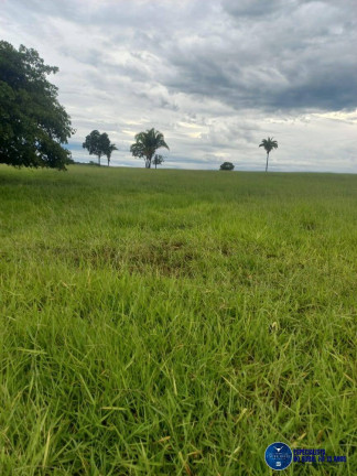 Imagem Fazenda à Venda, 197 m² em Zona Rural - Novo Brasil Imagem Fazenda à Venda, 197 m² em Zona Rural - Novo Brasil