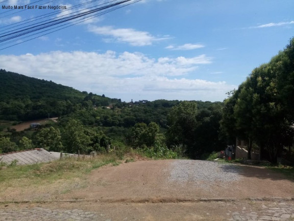 Imagem Imóvel à Venda, 300 m² em Germânia - Nova Petrópolis