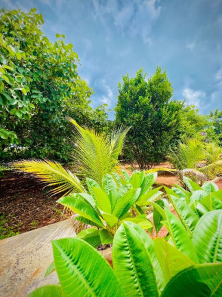 Imagem Terreno à Venda, 5.006 m² em Condomínio Alto Da Boa Vista - Senador Canedo Imagem Terreno à Venda, 5.006 m² em Condomínio Alto Da Boa Vista - Senador Canedo