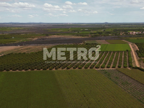 Imagem Fazenda à Venda, em área Rual - Petrolina Imagem Fazenda à Venda, em área Rual - Petrolina