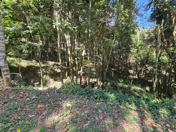 Imagem Terreno à Venda, 5.000 m² em Green Valleiy - Teresópolis