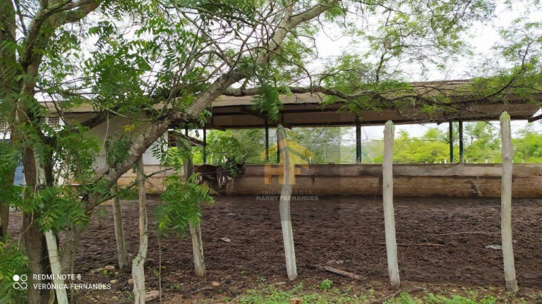 Imagem Fazenda à Venda, 160.000 m² em Rural - Paudalho Imagem Fazenda à Venda, 160.000 m² em Rural - Paudalho