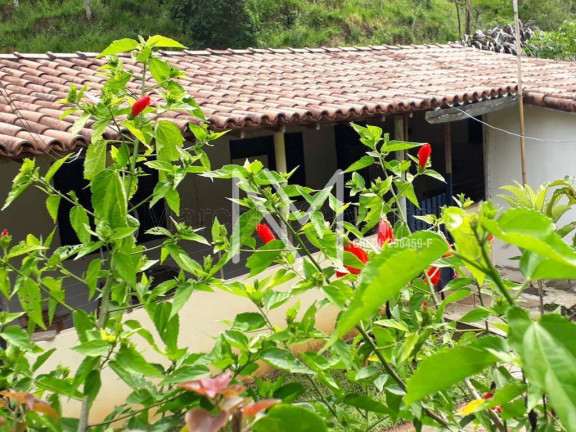 Imagem Chácara com 4 Quartos à Venda, 400 m² em Bairro Do Turvo - São José Dos Campos Imagem Chácara com 4 Quartos à Venda, 400 m² em Bairro Do Turvo - São José Dos Campos