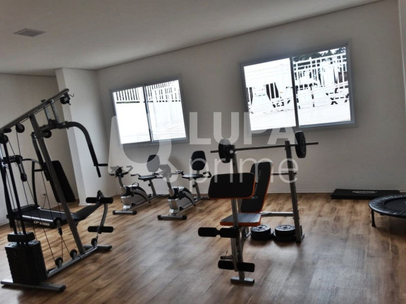 Imagem Apartamento com 2 Quartos à Venda, 62 m² em Tucuruvi - São Paulo Imagem Apartamento com 2 Quartos à Venda, 62 m² em Tucuruvi - São Paulo