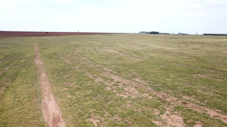 Imagem Fazenda à Venda, 220 m² em Zona Rural - Euclides Da Cunha Paulista Imagem Fazenda à Venda, 220 m² em Zona Rural - Euclides Da Cunha Paulista