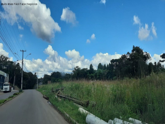 Imagem Terreno à Venda, 12.438 m² em Germânia - Nova Petrópolis Imagem Terreno à Venda, 12.438 m² em Germânia - Nova Petrópolis