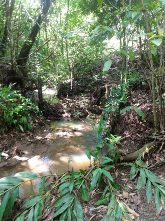 Imagem Chácara à Venda, 5 m² em Zona Rural - Anicuns Imagem Chácara à Venda, 5 m² em Zona Rural - Anicuns