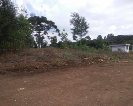 Imagem Imóvel à Venda, 5 m² em Logradouro - Nova Petrópolis