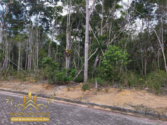 Imagem Terreno à Venda, 1.103 m² em Arraial D'ajuda - Porto Seguro Imagem Terreno à Venda, 1.103 m² em Arraial D'ajuda - Porto Seguro
