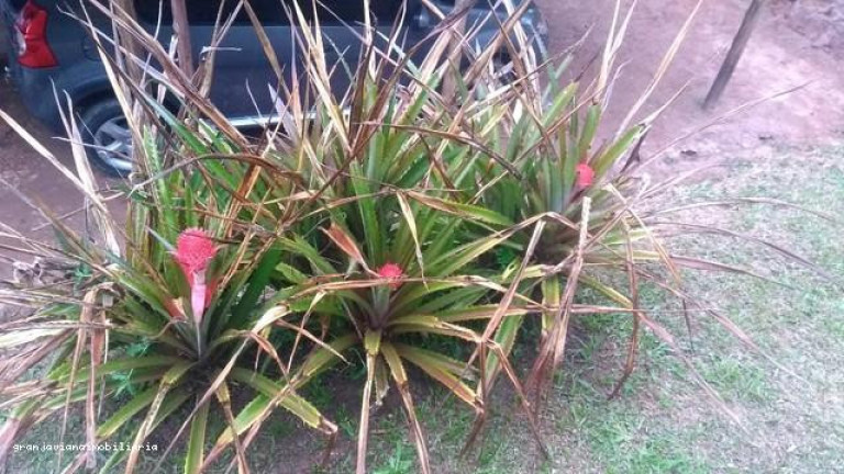Imagem Chácara à Venda, em Consultar - Ibiúna Imagem Chácara à Venda, em Consultar - Ibiúna