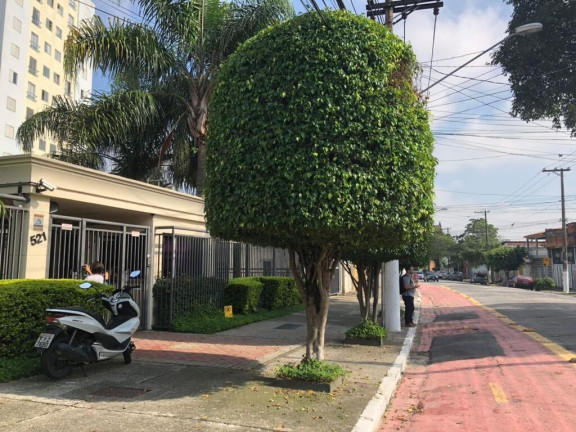 Imagem Apartamento com 2 Quartos à Venda, 50 m² em Butantã - São Paulo