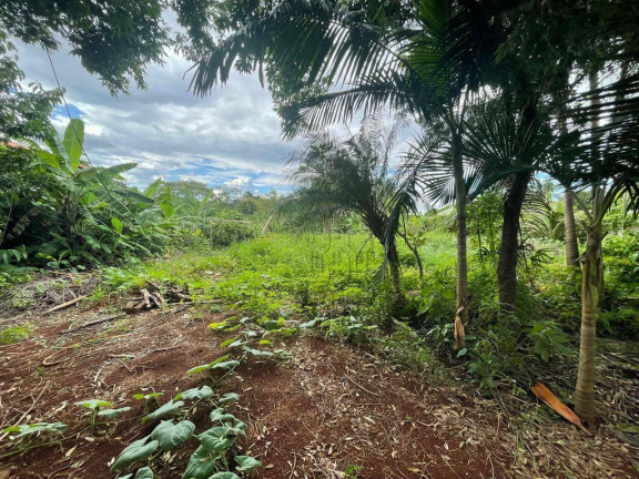 Imagem Terreno à Venda, 1.600 m² em Espirito Santo - Londrina Imagem Terreno à Venda, 1.600 m² em Espirito Santo - Londrina