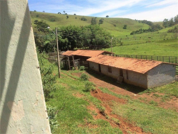 Imagem Imóvel com 3 Quartos à Venda, 448.000 m² em Roseta - Cambuí Imagem Imóvel com 3 Quartos à Venda, 448.000 m² em Roseta - Cambuí