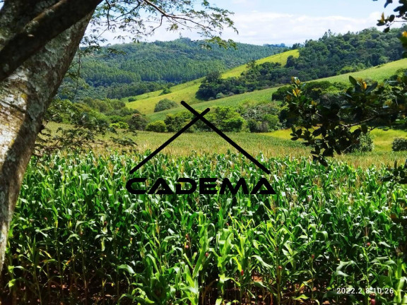 Imagem Fazenda à Venda, 60 m² em Zona Rural - Monte Sião