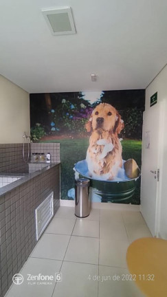 Imagem Apartamento com 2 Quartos à Venda, 53 m² em Vila Das Mercês - São Paulo
