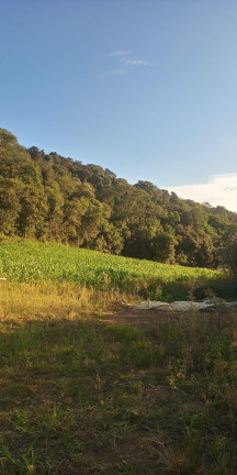 Imagem Imóvel com 3 Quartos à Venda, 47.000 m² em Centro - Campo Largo