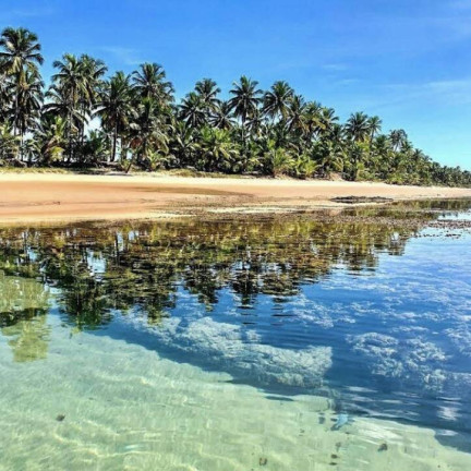 Imagem Terreno à Venda, 593 m² em Taipú De Fora - Marau Imagem Terreno à Venda, 593 m² em Taipú De Fora - Marau