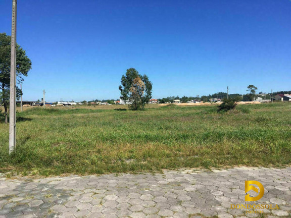Imagem Terreno à Venda, 367 m² em Palladini - Morro Da Fumaça