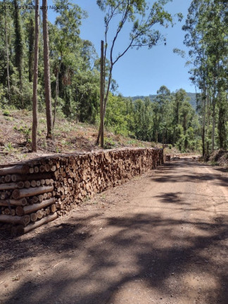 Imagem Terreno à Venda, 20.978 m² em Arroio Paixão - Nova Petrópolis