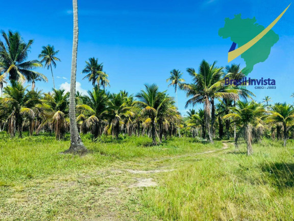 Imagem Terreno à Venda, 120 m² em Guaiù - Santa Cruz Cabrália Imagem Terreno à Venda, 120 m² em Guaiù - Santa Cruz Cabrália