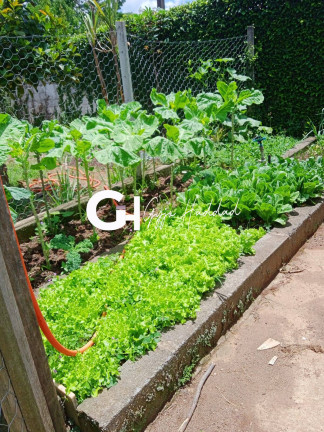 Imagem Chácara com 4 Quartos à Venda, 3 m² em Piratuba - Ibiúna