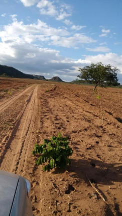 Imagem Fazenda à Venda, 29.935.400 m² em Centro - Ponte Alta Do Bom Jesus Imagem Fazenda à Venda, 29.935.400 m² em Centro - Ponte Alta Do Bom Jesus