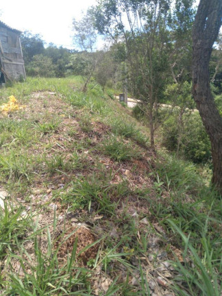 Imagem Chácara à Venda, 1 m² em Ipanema - Igarapé